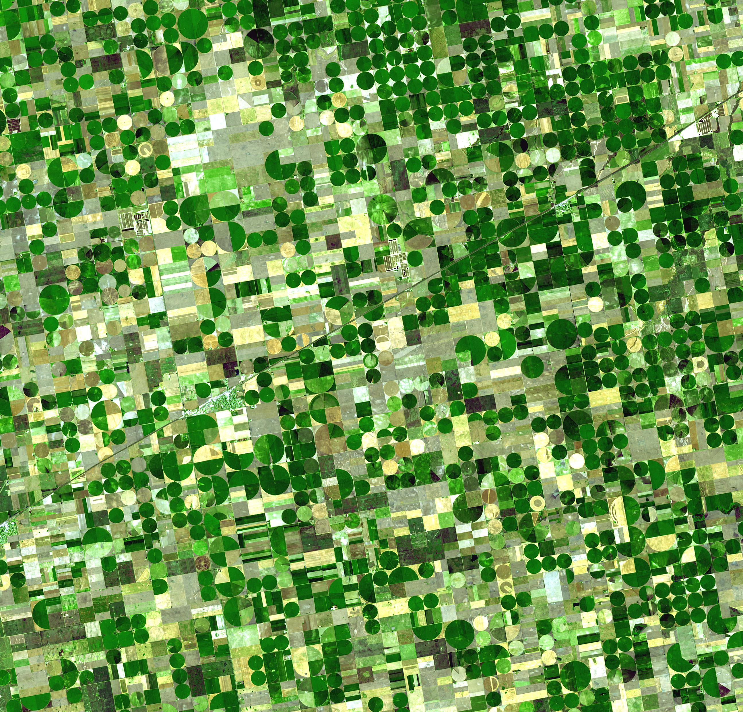 What Can Farmers Do About Climate Change? Intercropping & Pest Management What Can Farmers Do About Climate Change? Intercropping & Pest Management