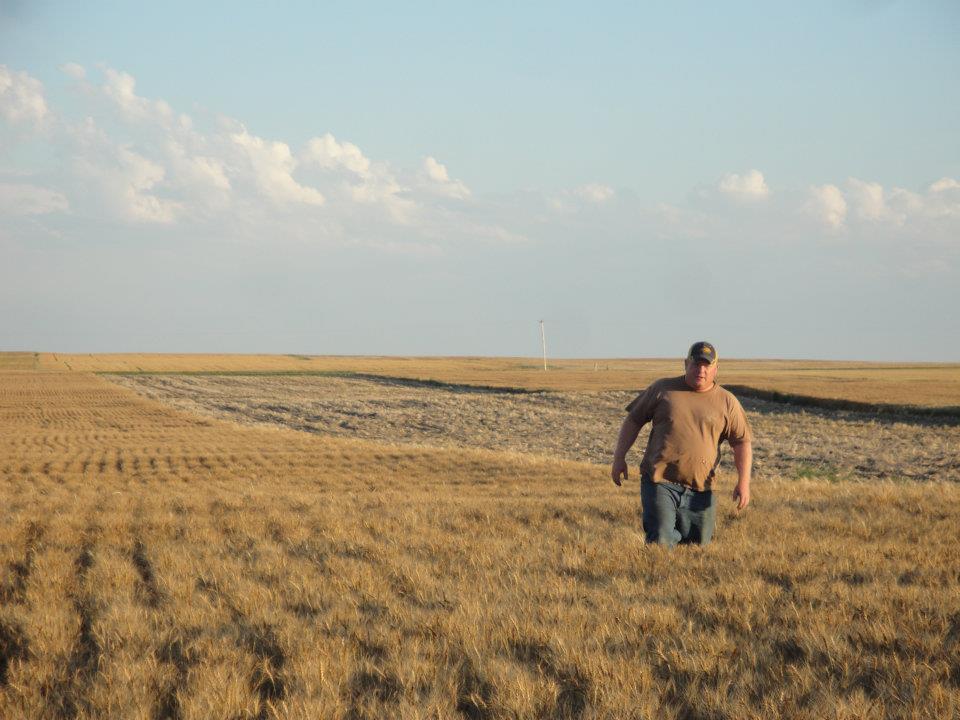 Confronting Consolidation: How Congress Proposes to Fight Mergers in Ag Confronting Consolidation: How Congress Proposes to Fight Mergers in Ag