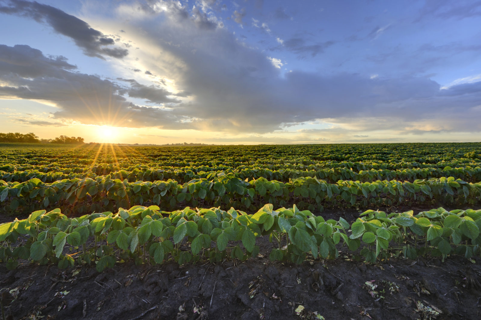 NFU Foundation Awards Scholarships for Next Generation Agriculture Leaders