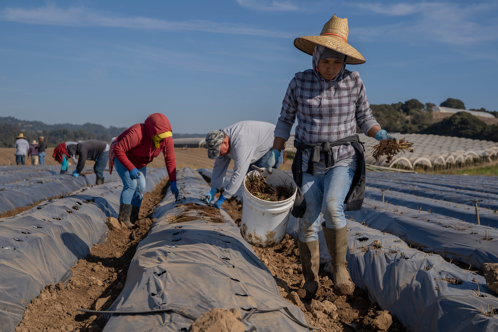 NFU Applauds Passage of Farm Workforce Modernization Act