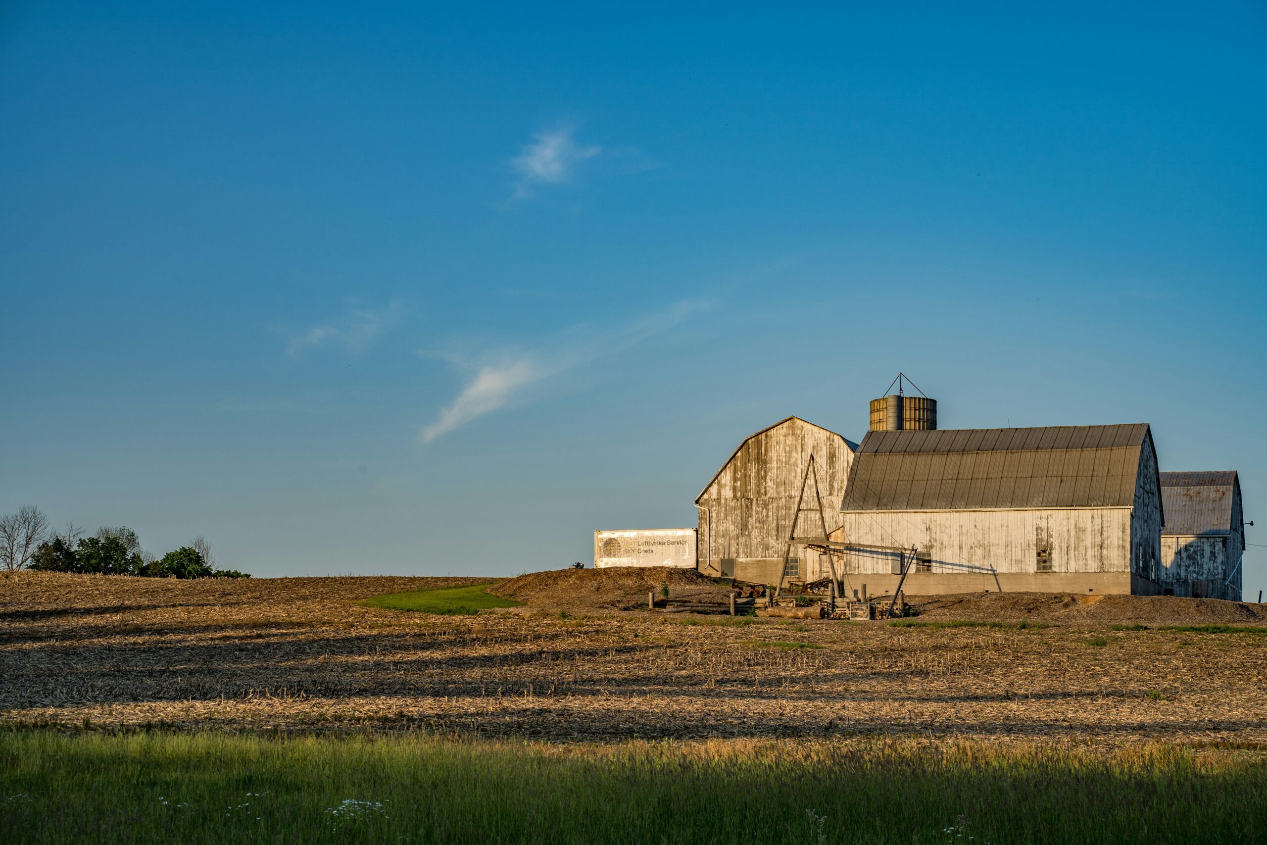 Farmers and Ranchers Will Bear the Brunt of a Global Trade War