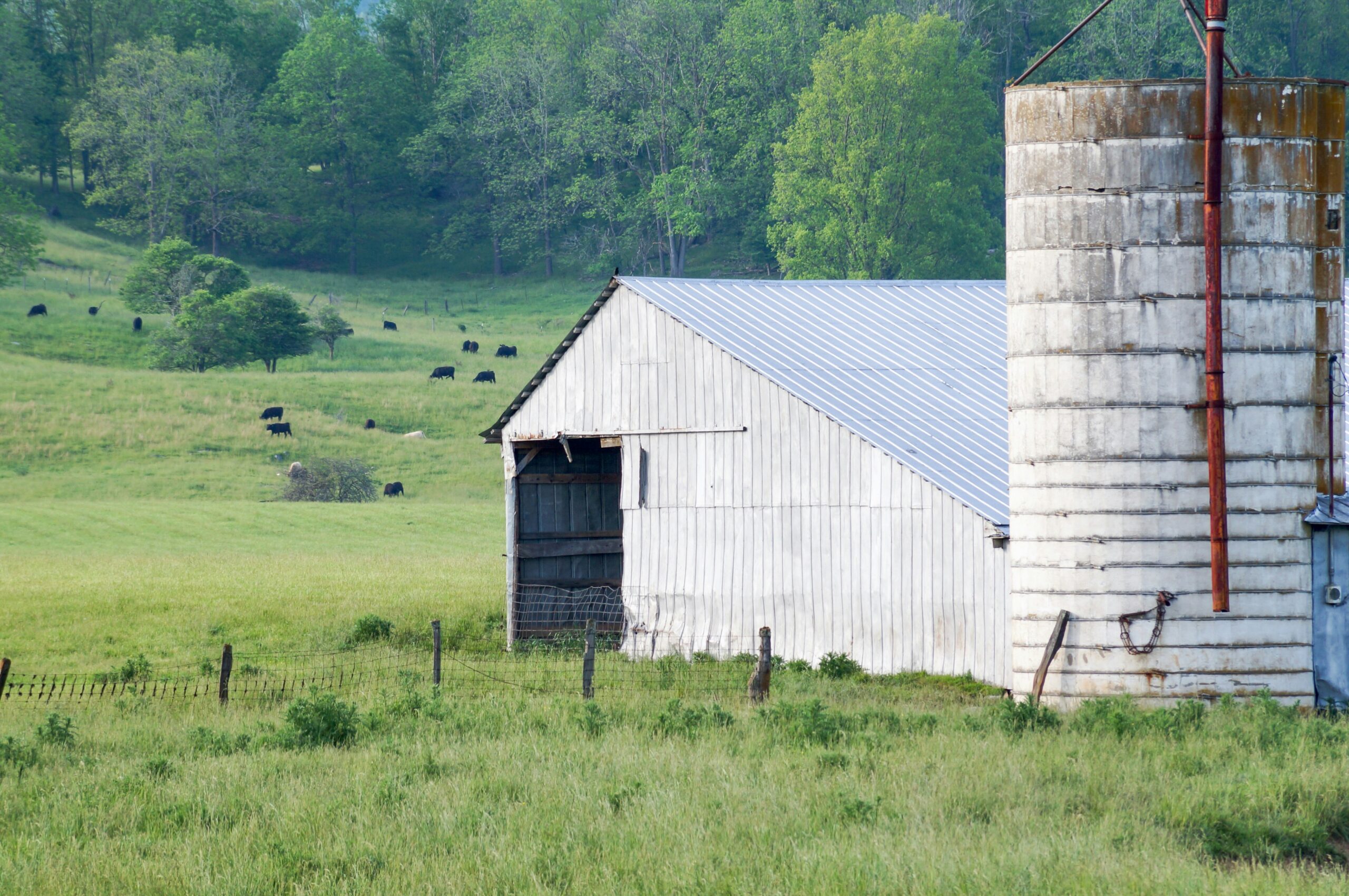 NFU Statement on the Make America Healthy Again Commission Report